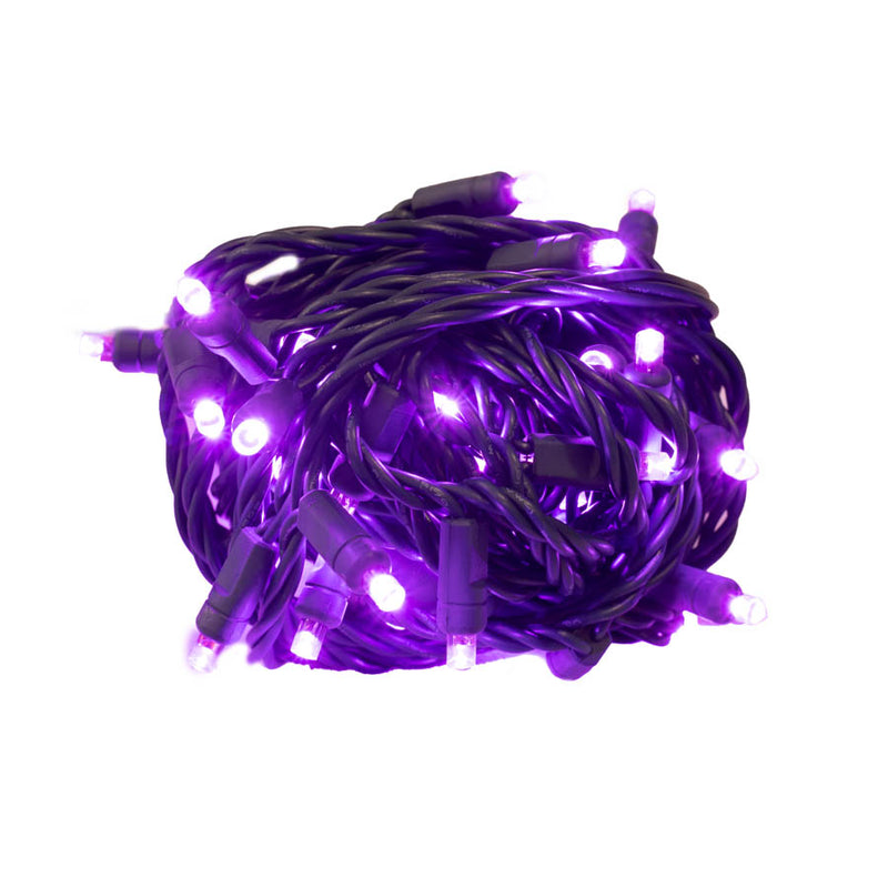 50L Purple LED Mini Lights 6” Spacing (Ball)